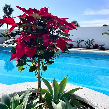 Ferienhaus Taray Roquetas de Mar